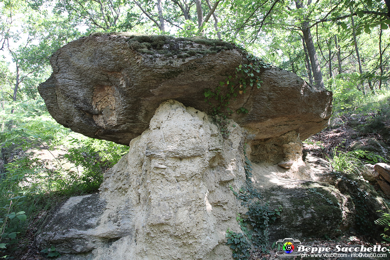 VBS_8992 - I Ciciu del Villar. Villar San Costanzo. Val Maira (Cuneo).jpg
